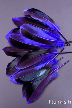 Canard - 8-10 cm - aubergine